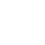 InstagramIcon